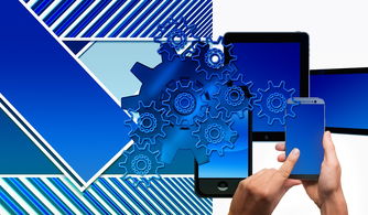 乐鱼体育在线官网-中国篮球联赛品牌建设及粉丝经济研究，国内篮球职业联赛