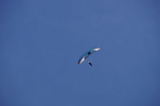 乐鱼体育下载入口-全国青少年水上滑翔锦标赛天津盛大开幕，水上滑翔机价格