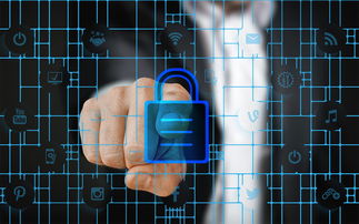 乐鱼体育 vip注册-赛事风险管理体系，体育赛事风险管理的主要内容