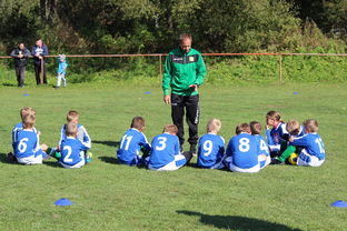 乐鱼体育地址-五大联赛核心球员缺阵时教练战术应变差异分析，五大联赛主教练工资排名